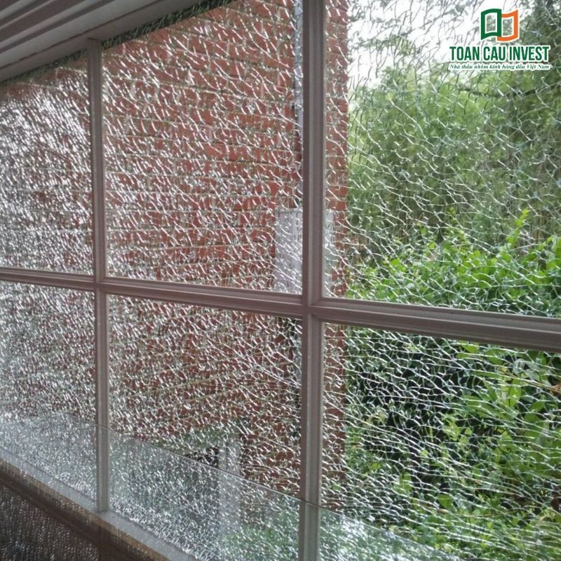 Toàn bộ tấm kính bị tự nổ tạo thành mạng vỡ dày đặc, thường gặp trong hệ vách kính khi có lỗi nội tại hoặc ứng suất.